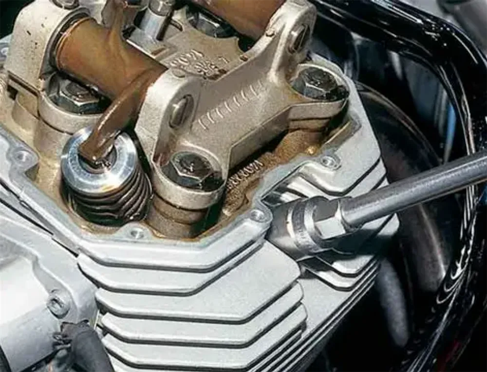 Motorcycle valve spring